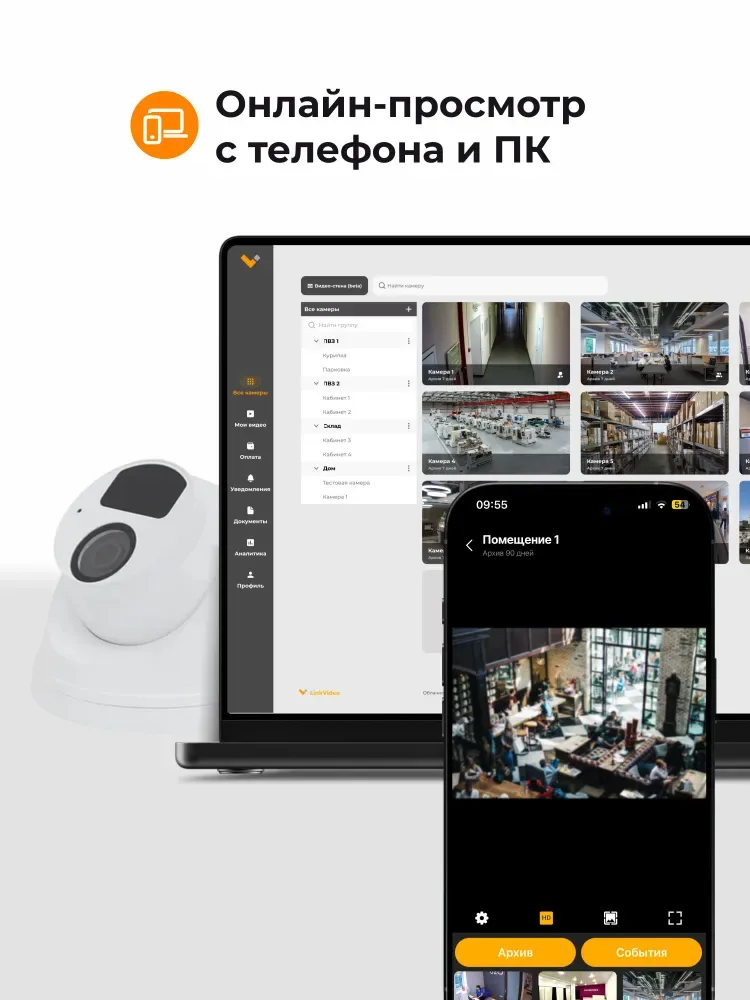 Камера видеонаблюдения для ПВЗ LinkVideo Lite