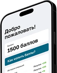 Системы лояльности