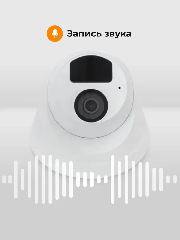 Камера видеонаблюдения для ПВЗ LinkVideo Lite