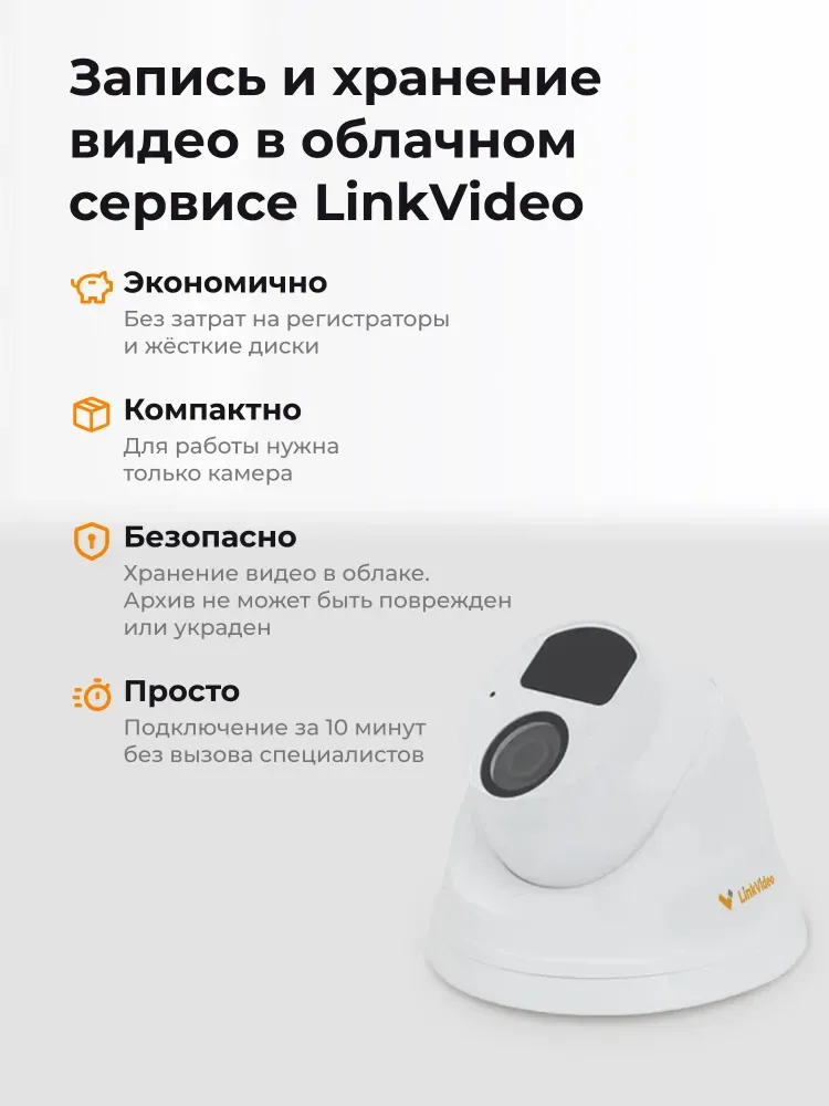 Камера видеонаблюдения для ПВЗ LinkVideo Lite